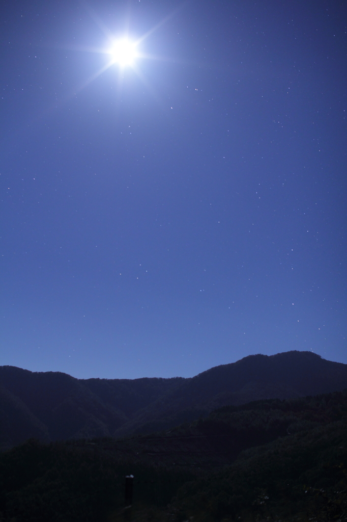 月明かりに照らされて