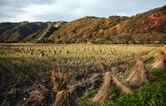 閉伊街道はもう秋なのさ