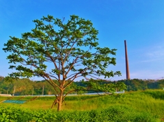 宮古市のラサの煙突