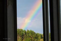窓辺の虹