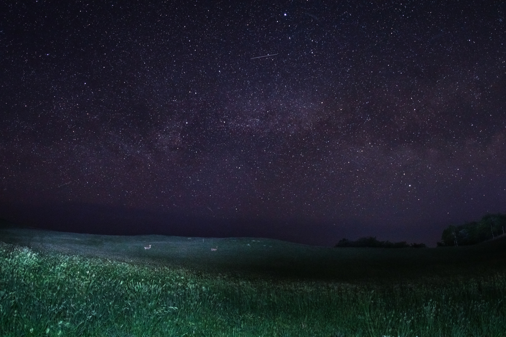 星空の下