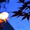 晩秋の夕暮れ