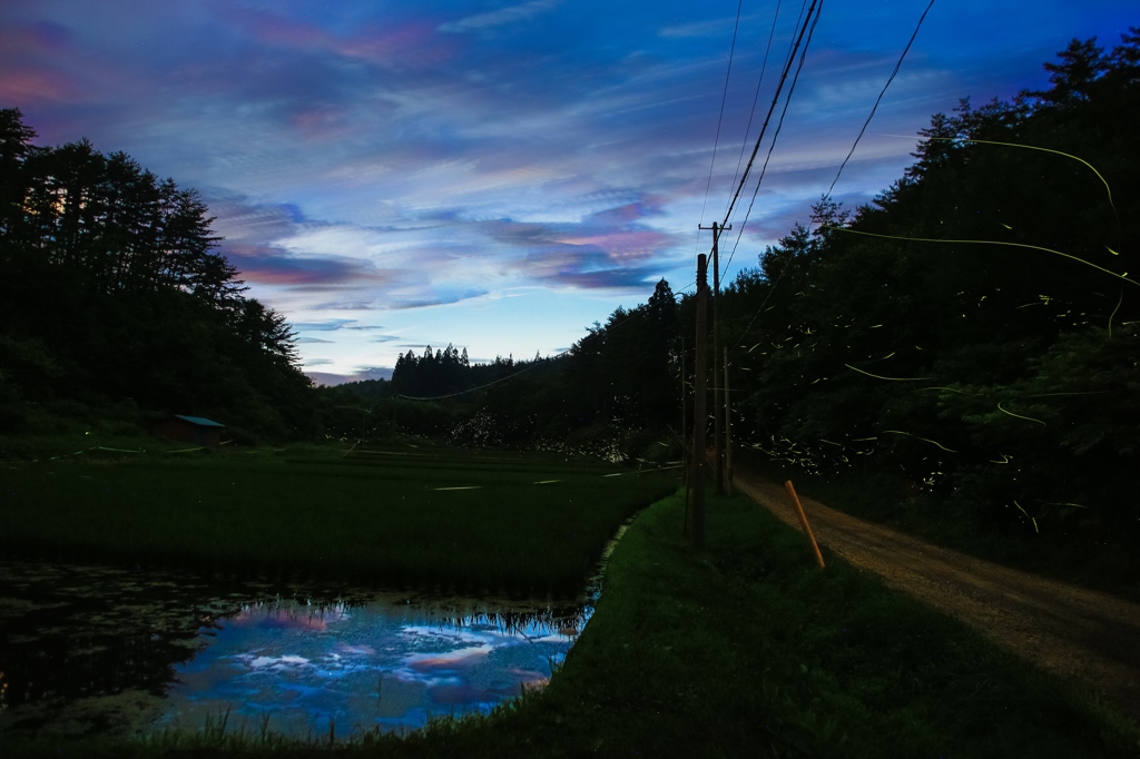 夕焼け空とホタルの光