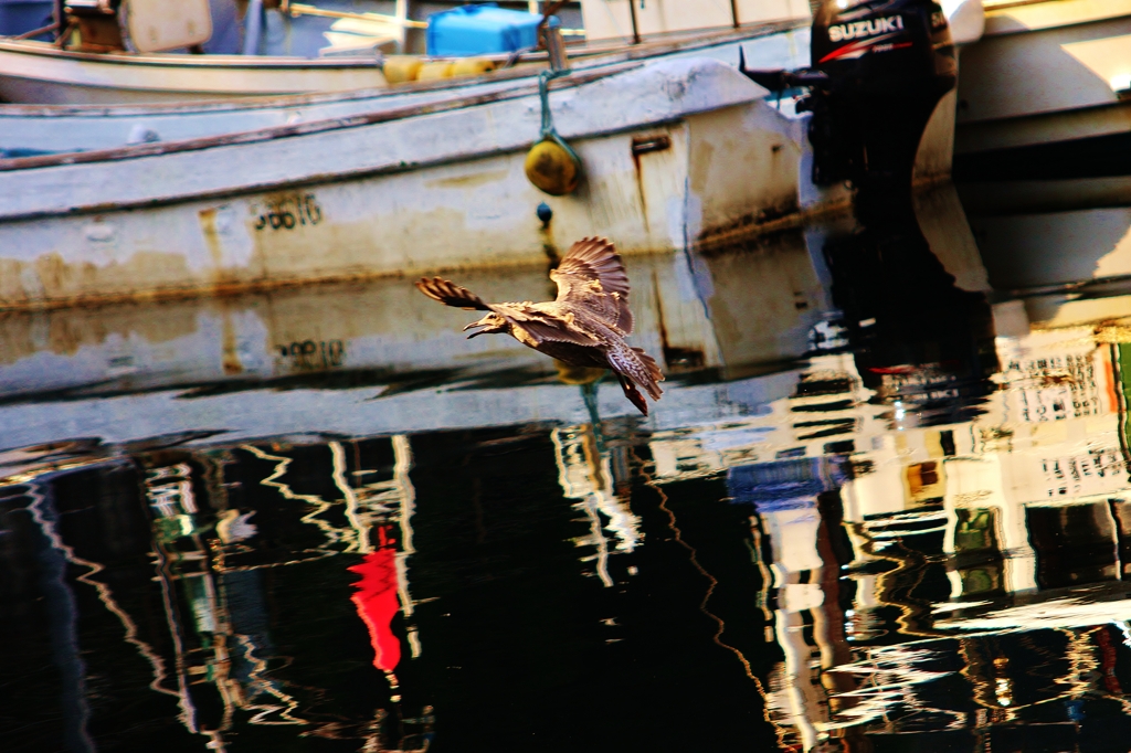 飛ぶ鳥を脅かす勢い