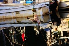 飛ぶ鳥を脅かす勢い