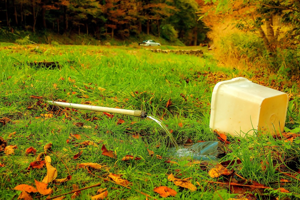 水の調を鑑賞する観衆