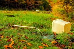 水の調を鑑賞する観衆