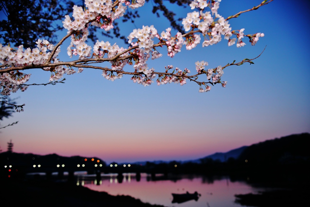 夜明けと共に