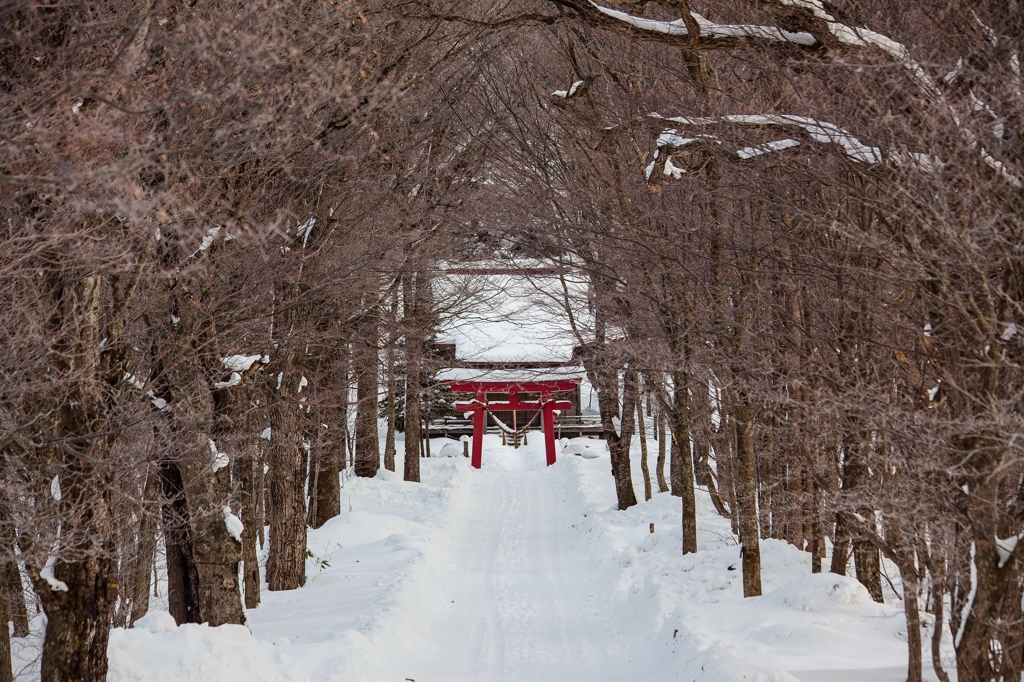 雪道