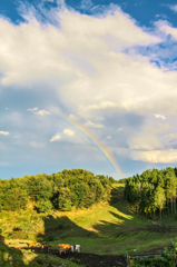 牛と虹の空