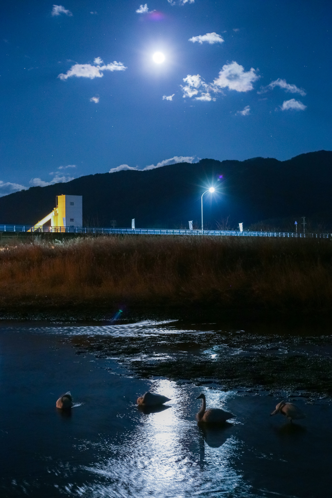 月夜の晩