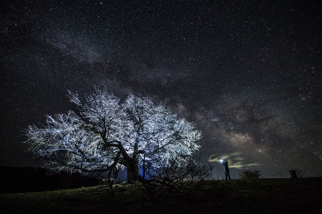 姥桜と天の川