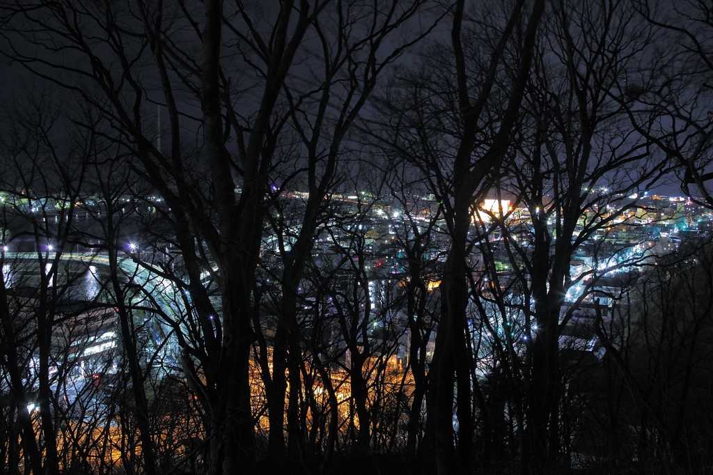 宮古市の夜景