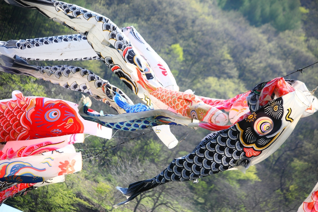 皐月の空を泳ぐ