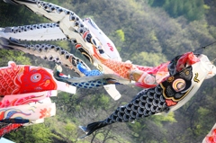 皐月の空を泳ぐ