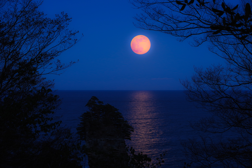 flower Moon