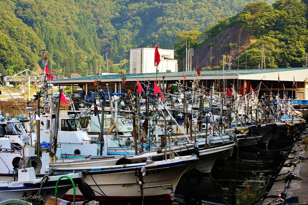 漁港
