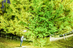IMGP7501-1
