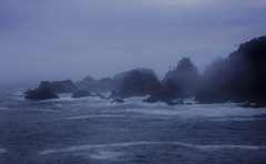 朝靄に並びし群集