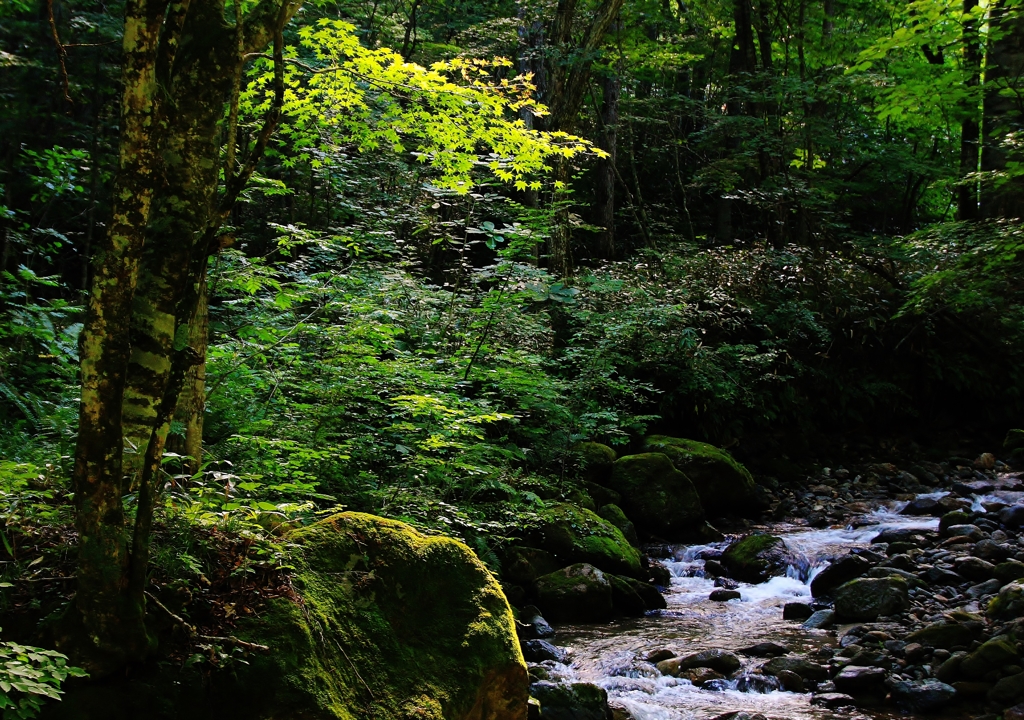 霊峰早池峰山の沢