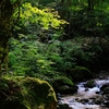 霊峰早池峰山の沢