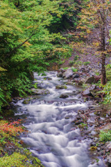 IMGP2655