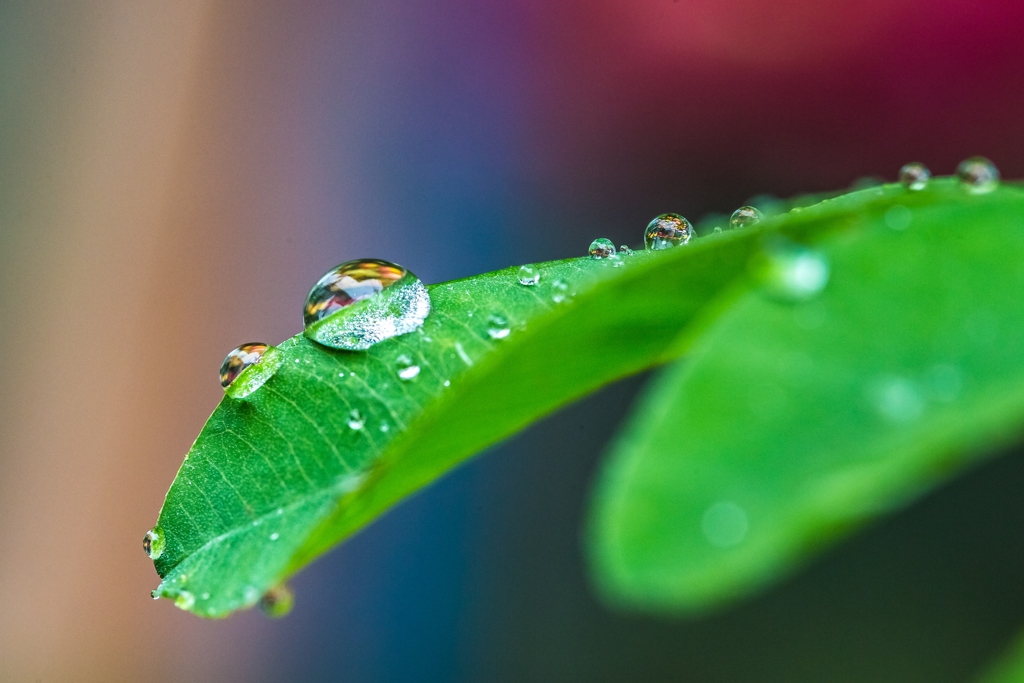 Coloring of rain