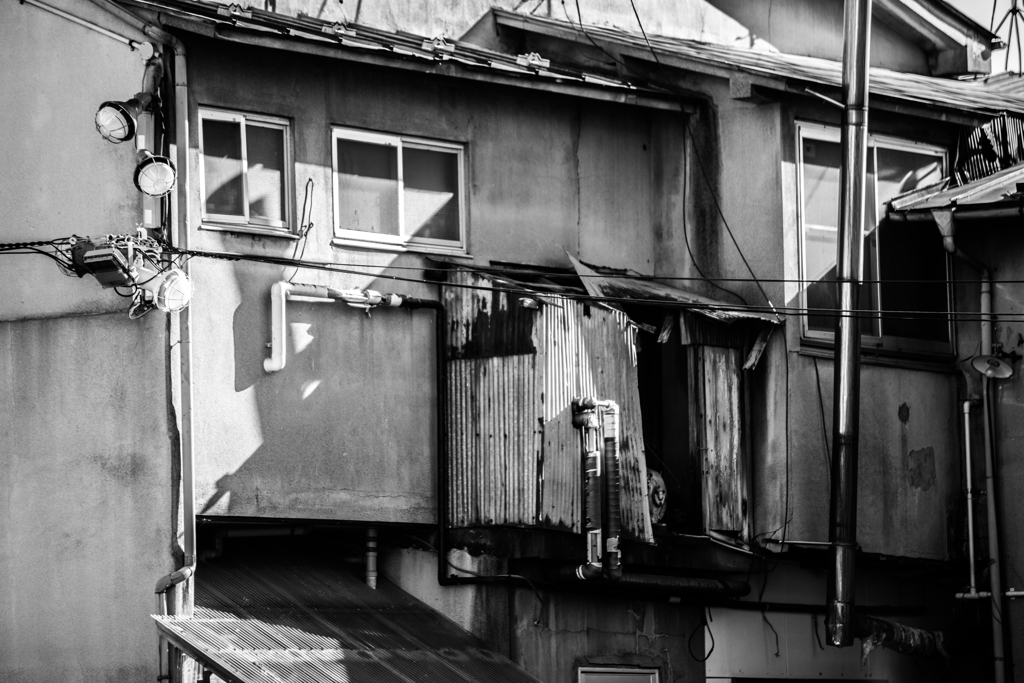 IMGP3486