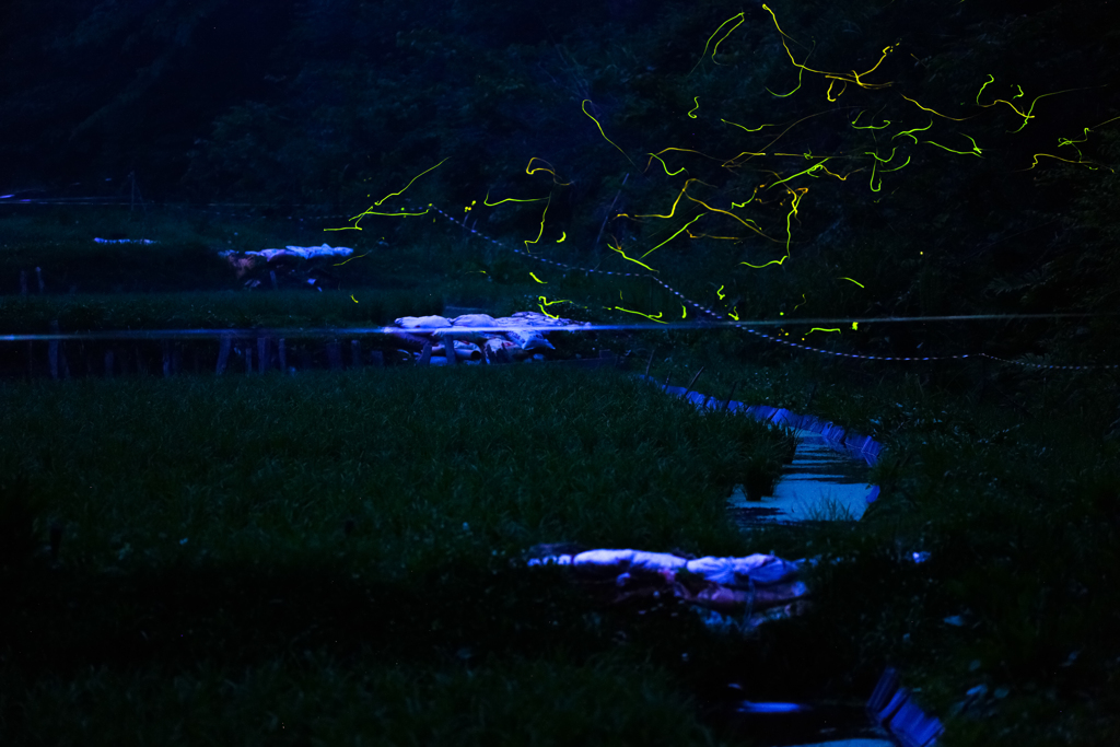 0B9A0731_edited-2
