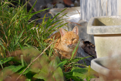 IMGP0022