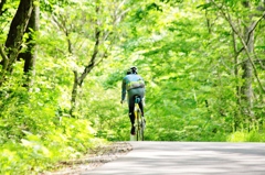 fresh verdure Road