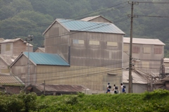 登校風景