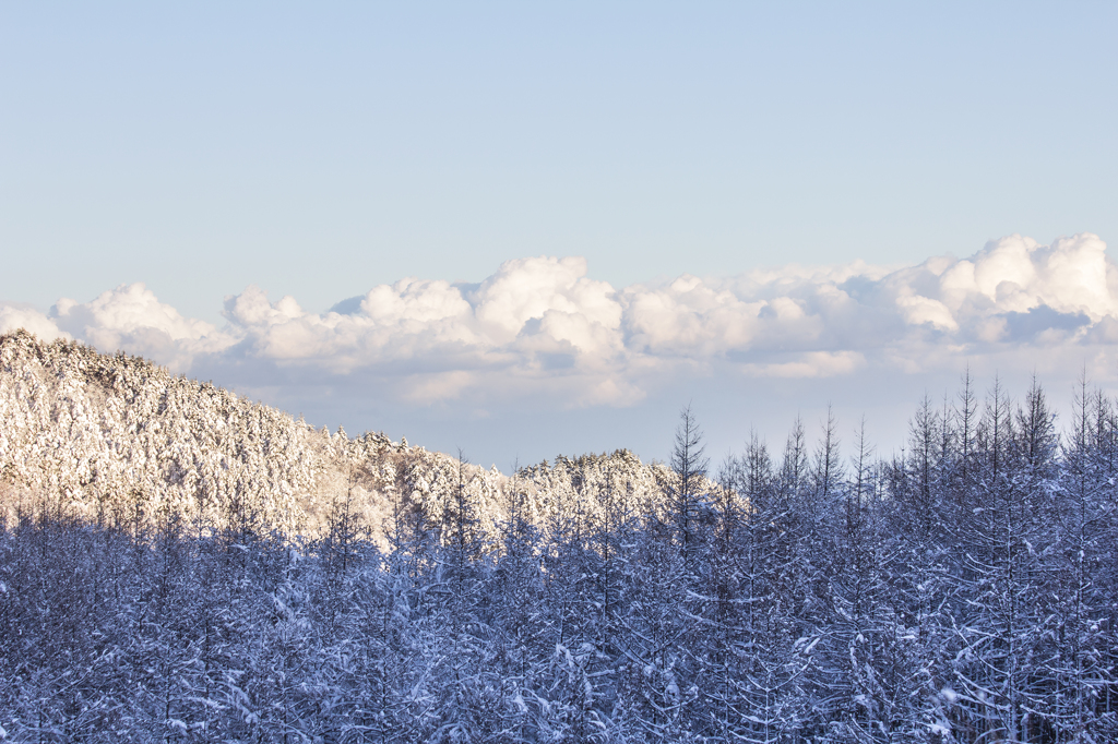 雪化粧