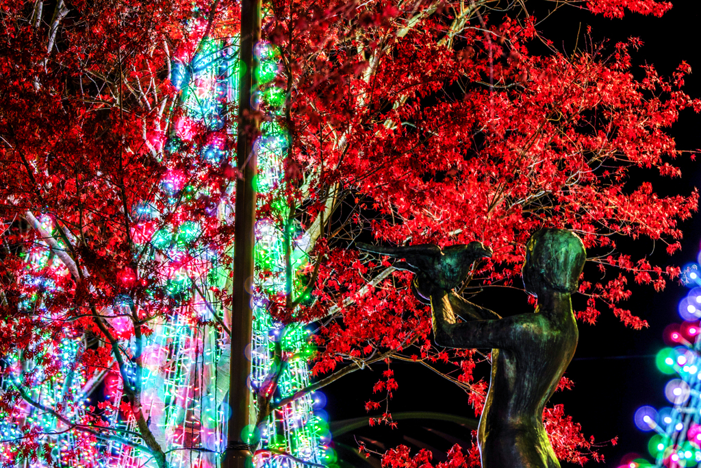 IMGP0089-3_edited-1