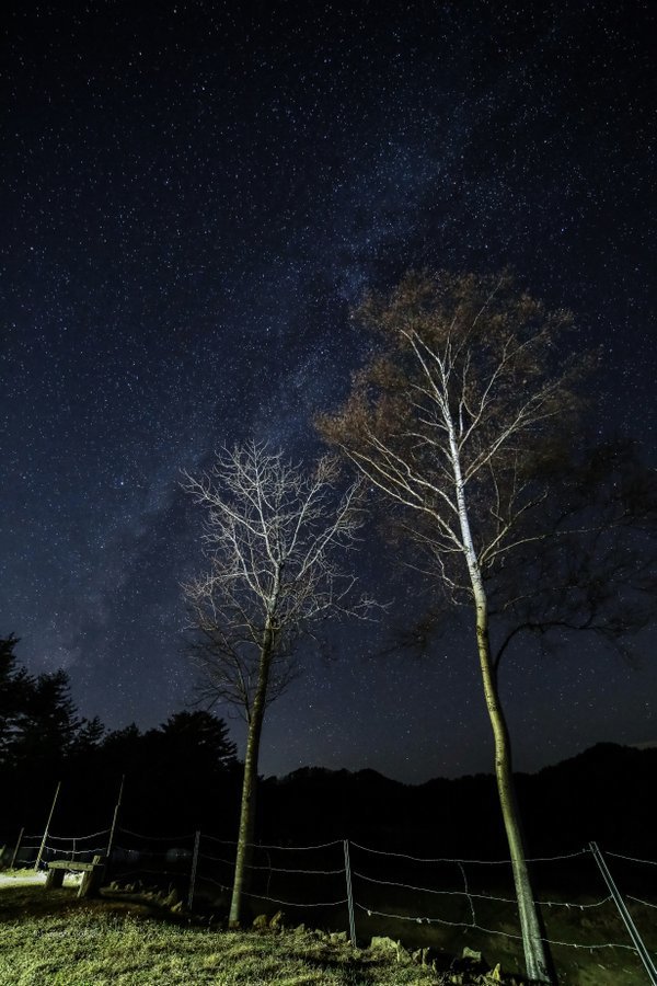 しあわせ牧場の星空