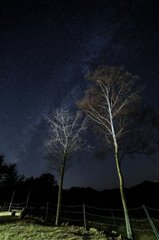 しあわせ牧場の星空