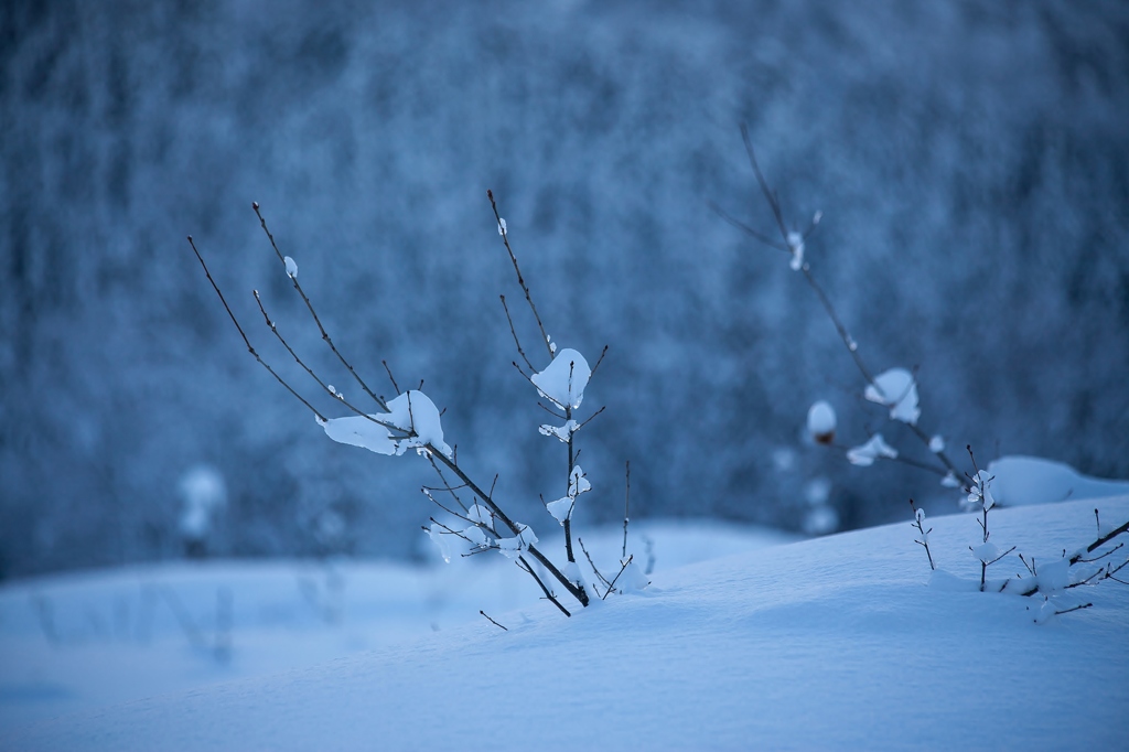 雪衣装