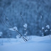 雪衣装