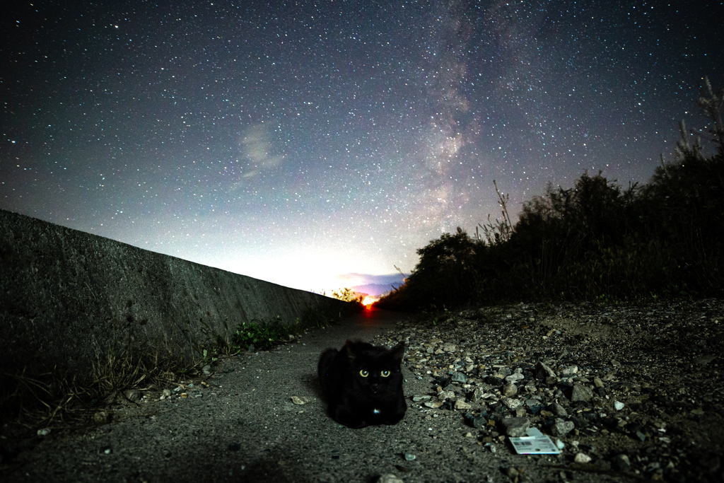 黒猫と天の川