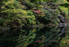 水辺の紅葉