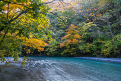 紅葉、川のせせらぎ