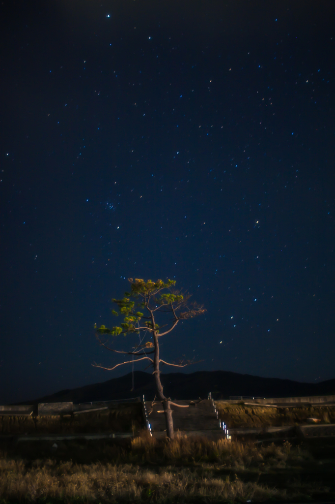 星を見上げて