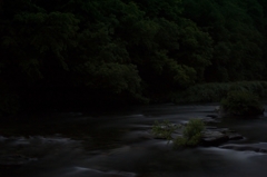 夜の渓流