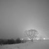 雪消月の音色
