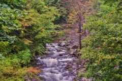 IMGP2654