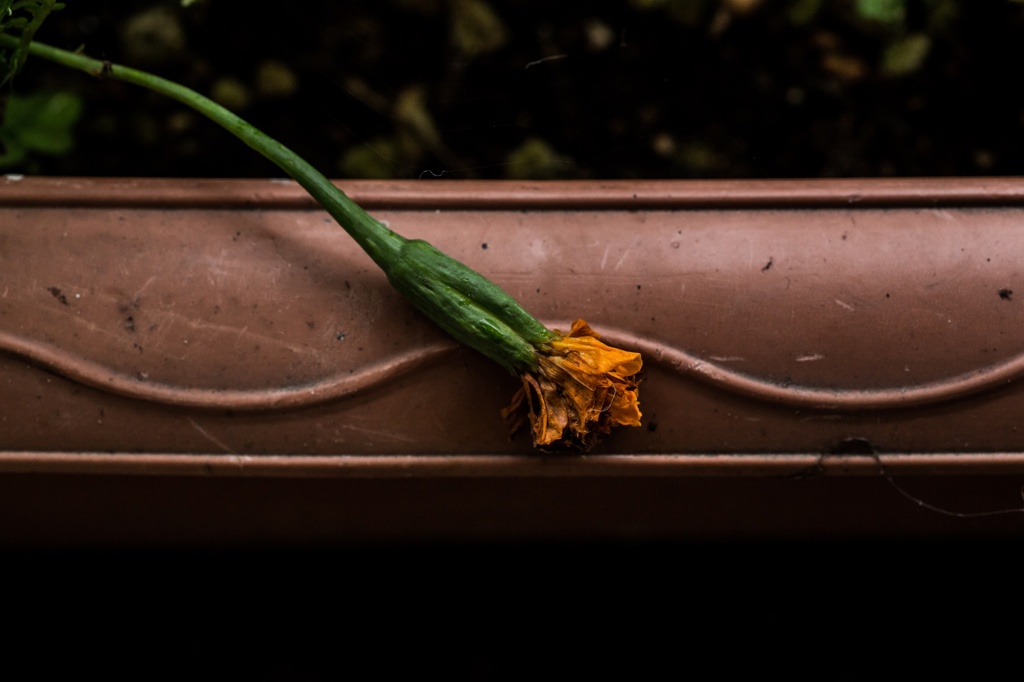 終花