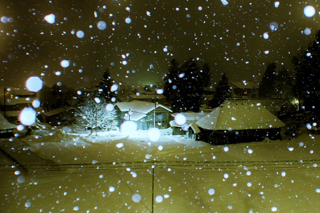 雪の降る日