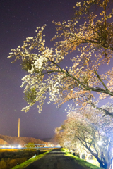7D1_9815_edited-1