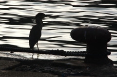 ハードボイルド