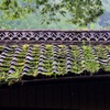 9月の雨